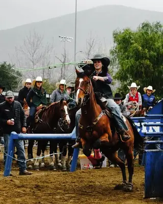 Jess A Lover Boy, 9 Year Old Bay Quarter Horse Gelding for Sale in Arroyo Grande, CA, photo 3 of 3