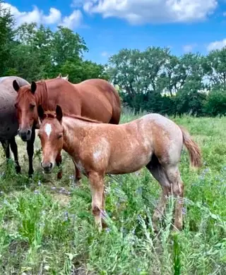 Magic Baby #3