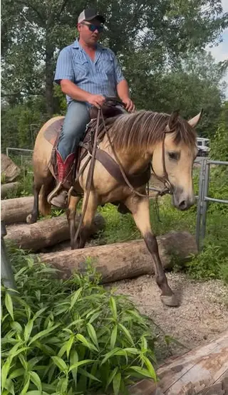 Chex Out This Wimp (Boone)