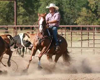 Rango, 14 Year Old Chestnut Quarter Horse Gelding for Sale in Carthage, MO, photo 2 of 5
