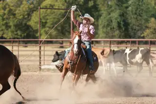 Rango, 14 Year Old Chestnut Quarter Horse Gelding for Sale in Carthage, MO, photo 3 of 5