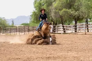 Gunna Spark N Smoke (Elsa), 4 Year Old Buckskin Quarter Horse Mare for Sale in Scottsdale, AZ