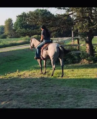 DS Peppy Paprika, 7 Year Old Bay Roan Quarter Horse Mare for Sale in Columbus, WI, photo 3 of 5