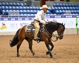 BAR T Just Call Me (Josie), 5 Year Old Bay Quarter Horse Mare for Sale in Weatherford, TX, photo 2 of 3