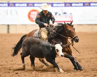 BAR T Just Call Me (Josie), 5 Year Old Bay Quarter Horse Mare for Sale in Weatherford, TX, photo 3 of 3